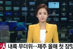 明星资讯明星新闻 黄瓜c,揭秘明星背后的生活点滴