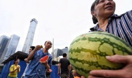 最新进展 朝阳吃瓜群众网,吃瓜群众网揭秘事件进展全解析