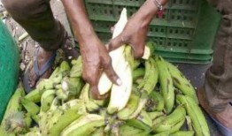 51朝阳吃瓜 反差,吃瓜群众背后的反差魅力